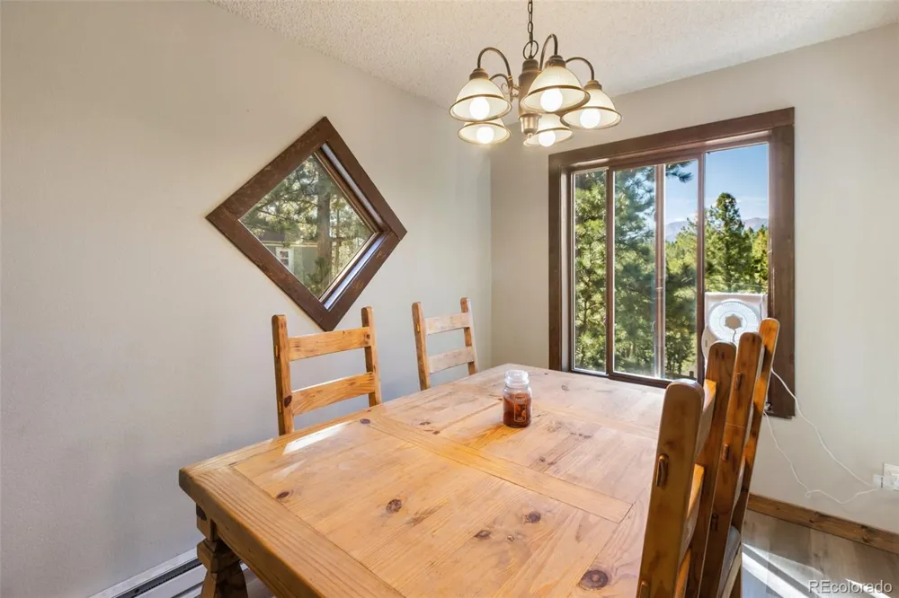 208 Illini Drive Woodland Park, CO 80863