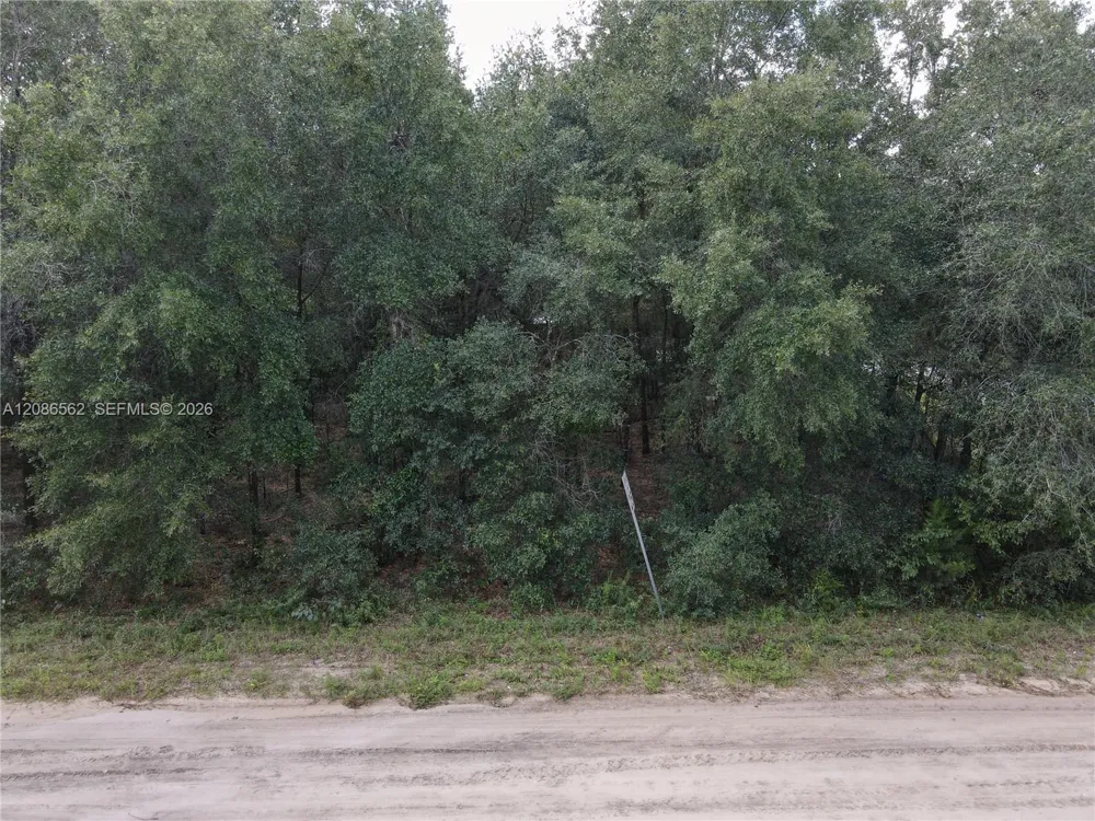 301 Franklin Other City - In The State Of Florida, FL 32148