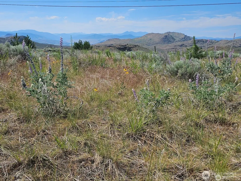 716 x Havillah Road Tonasket, WA 98855