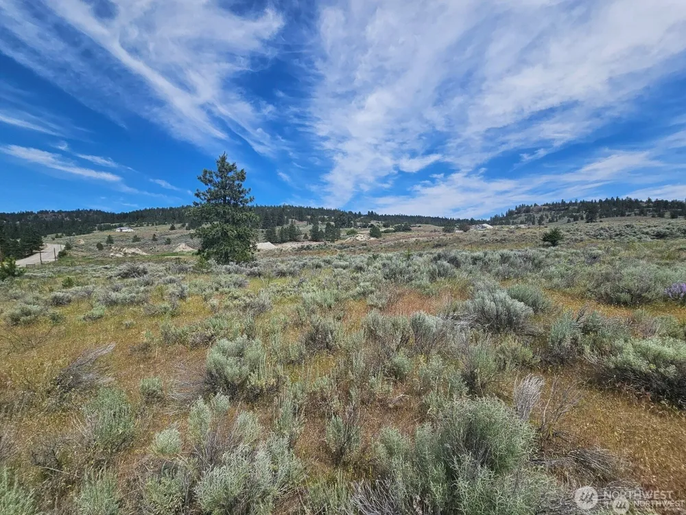 716 x Havillah Road Tonasket, WA 98855