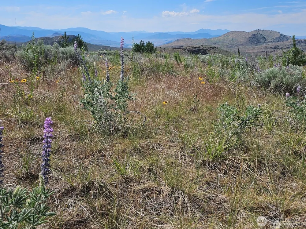 716 x Havillah Road Tonasket, WA 98855