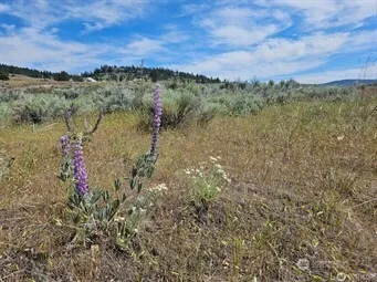 716 x Havillah Road Tonasket, WA 98855