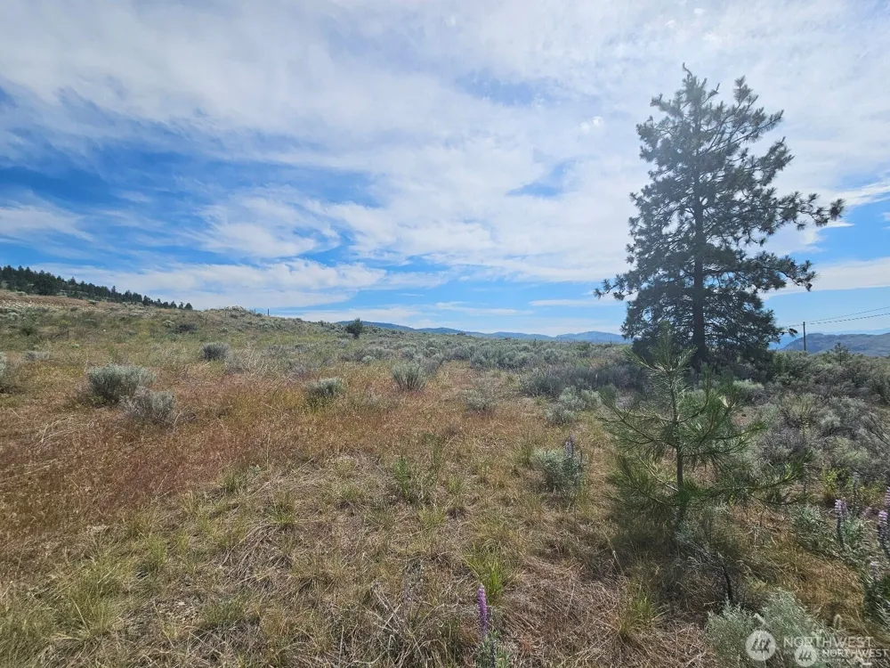 716 x Havillah Road Tonasket, WA 98855