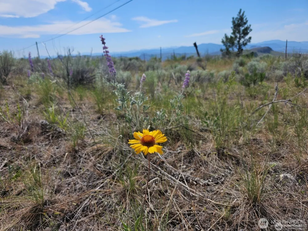 716 x Havillah Road Tonasket, WA 98855