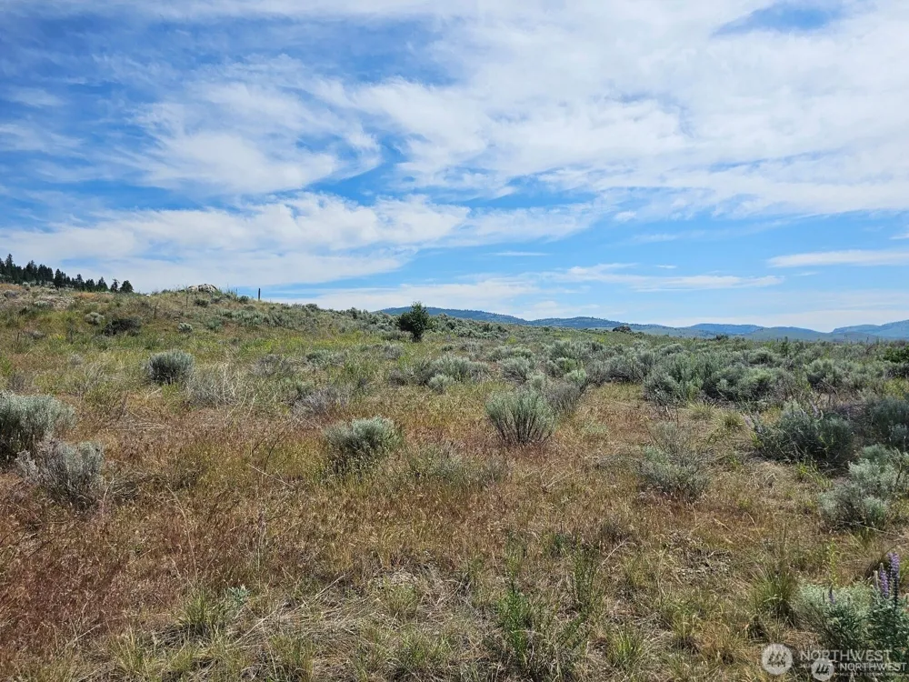 716 x Havillah Road Tonasket, WA 98855