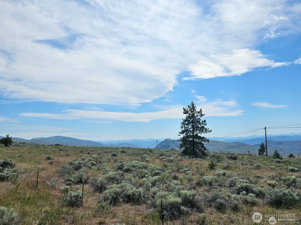716 x Havillah Road Tonasket, WA 98855