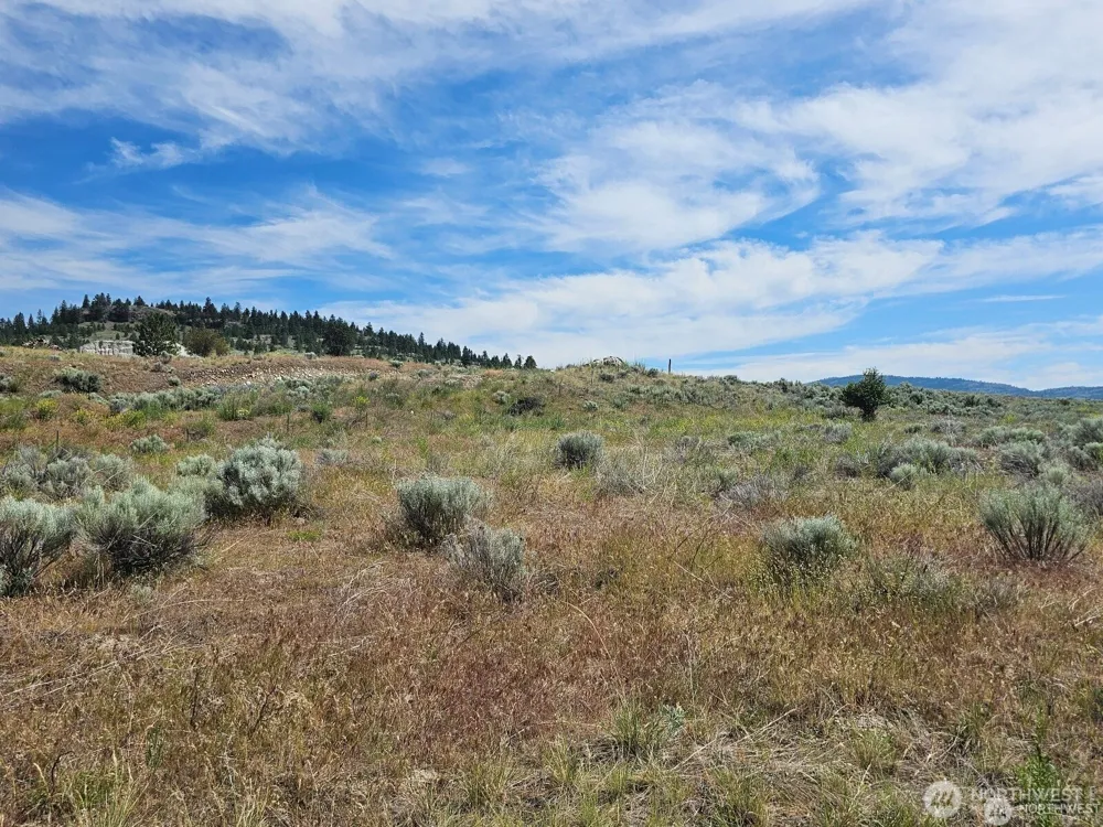 716 x Havillah Road Tonasket, WA 98855