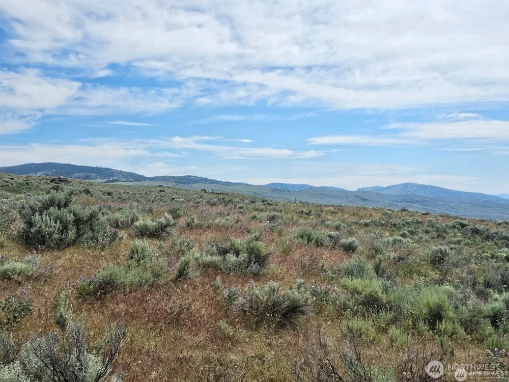716 x Havillah Road Tonasket, WA 98855