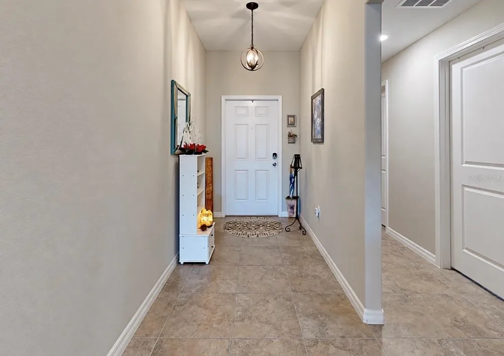 10017 CARAWAY SPICE AVENUE Riverview, FL 33578