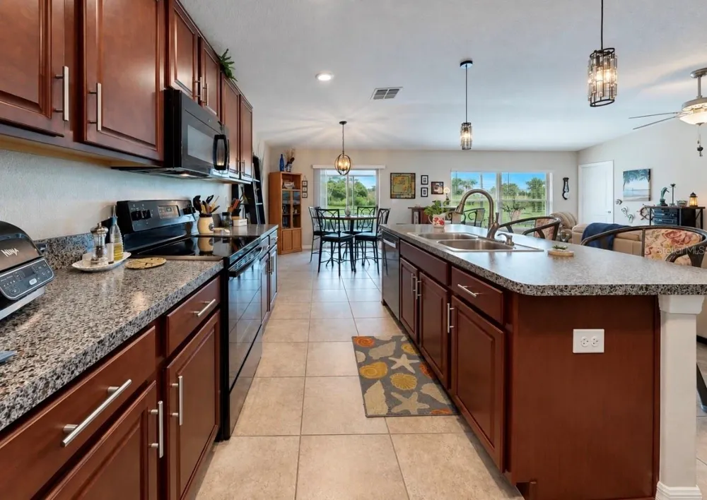 10017 CARAWAY SPICE AVENUE Riverview, FL 33578