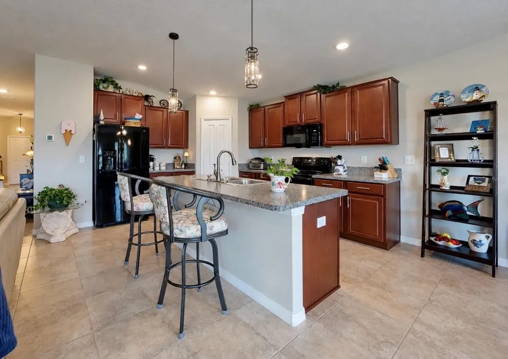 10017 CARAWAY SPICE AVENUE Riverview, FL 33578