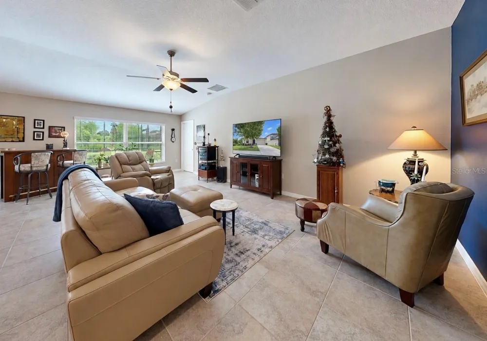 10017 CARAWAY SPICE AVENUE Riverview, FL 33578