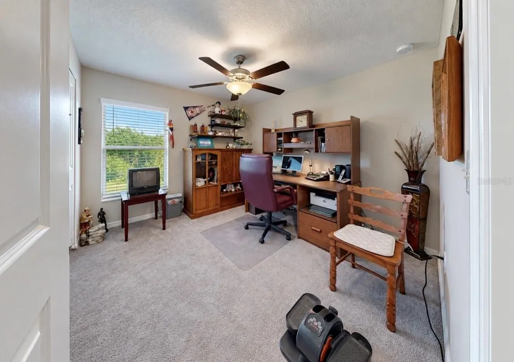 10017 CARAWAY SPICE AVENUE Riverview, FL 33578