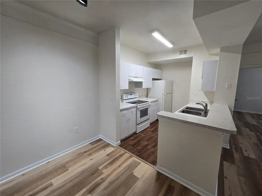 17112 CARRINGTON PARK DRIVE #902 Tampa, FL 33647
