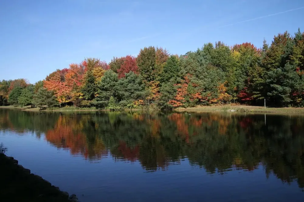 15387 Sundew Street Grand Haven Charter Township, MI 49417