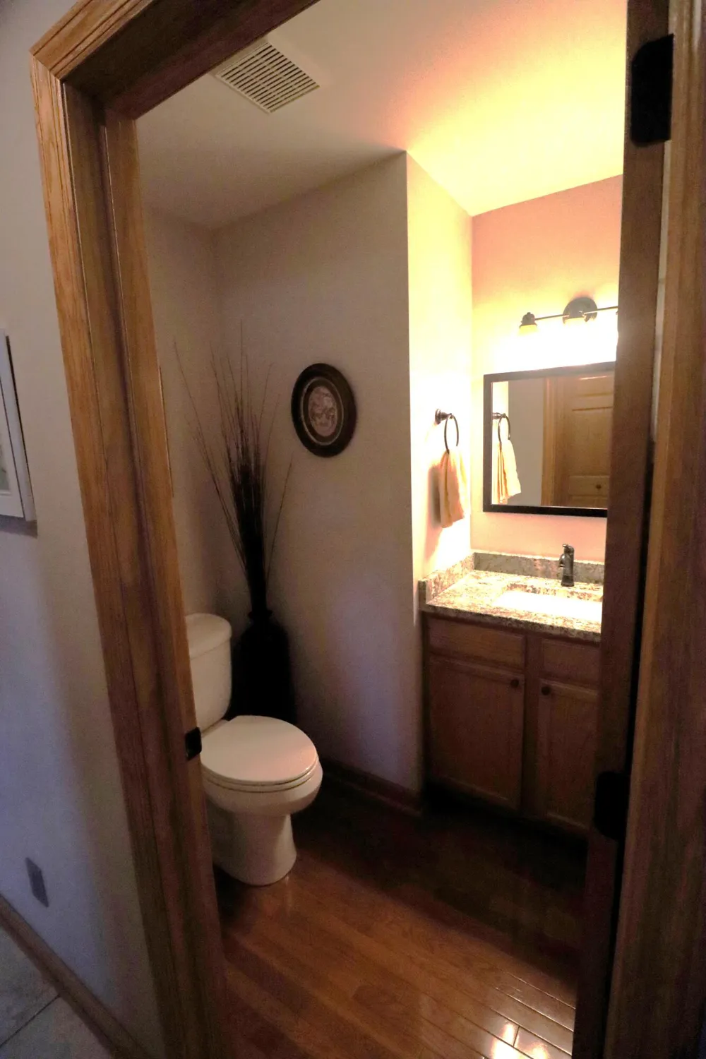 15387 Sundew Street Grand Haven Charter Township, MI 49417