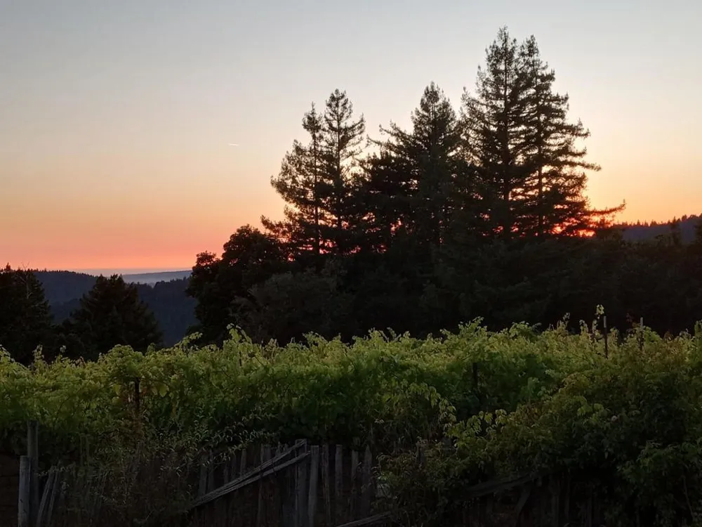 1580 Tindall Ranch Road Watsonville, CA 95076
