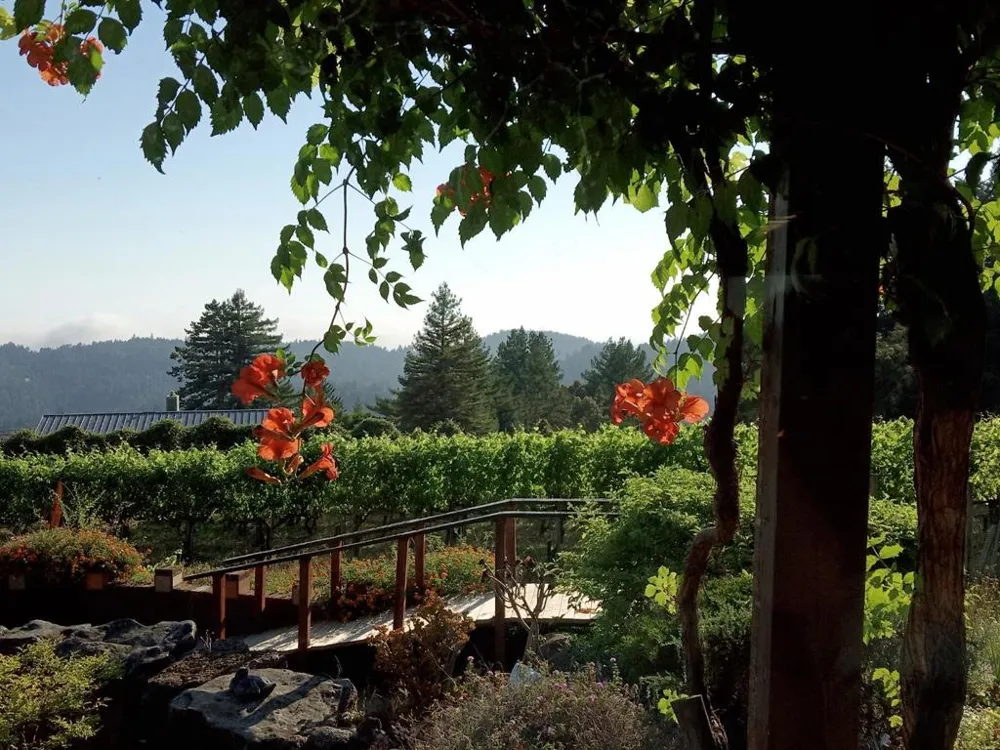 1580 Tindall Ranch Road Watsonville, CA 95076