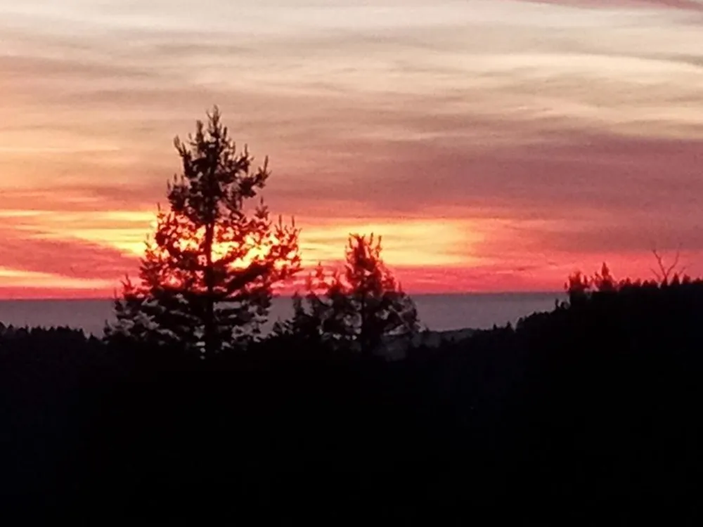 1580 Tindall Ranch Road Watsonville, CA 95076