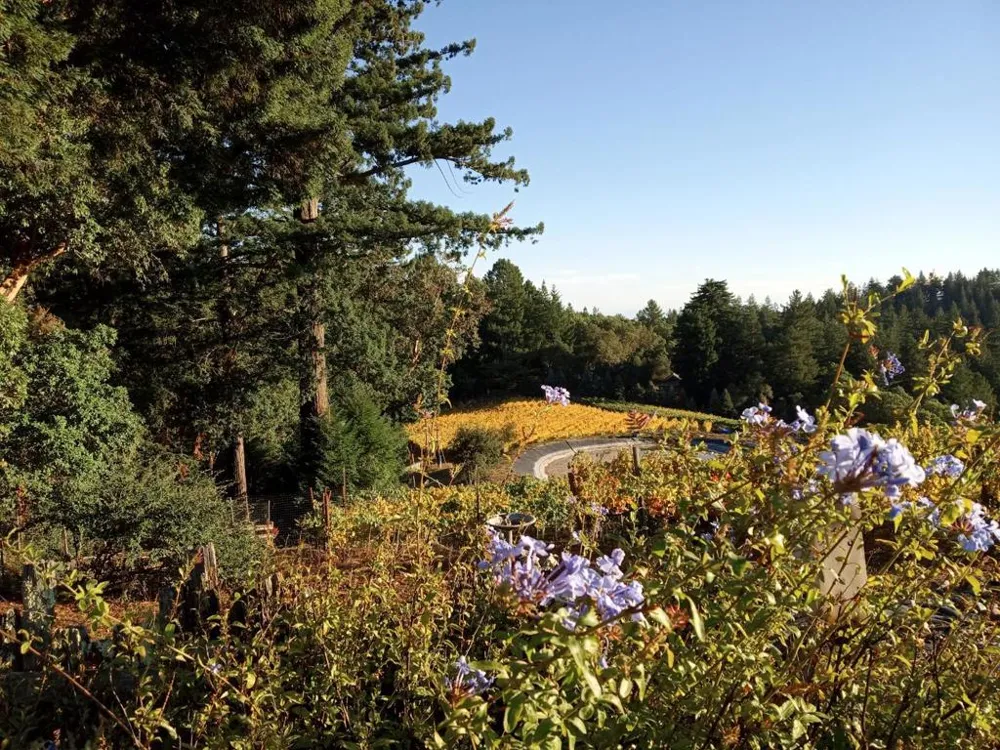 1580 Tindall Ranch Road Watsonville, CA 95076