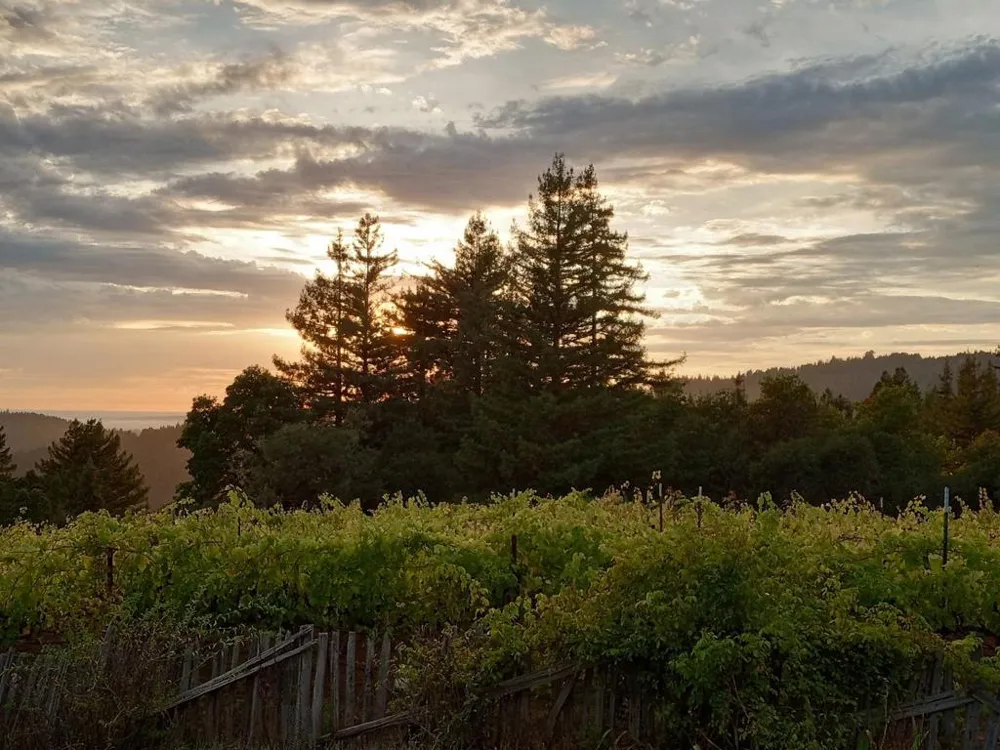 1580 Tindall Ranch Road Watsonville, CA 95076