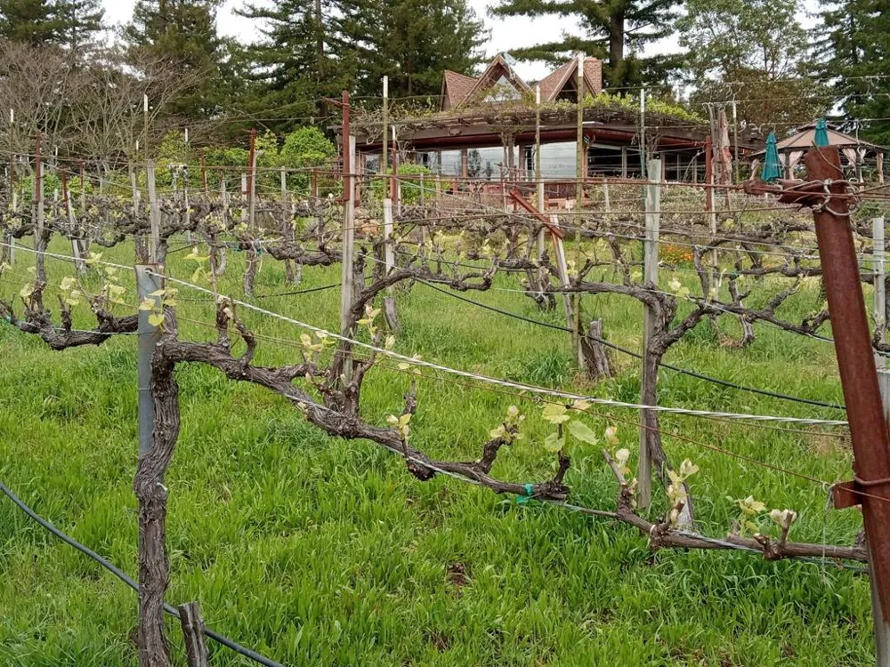 1580 Tindall Ranch Road Watsonville, CA 95076