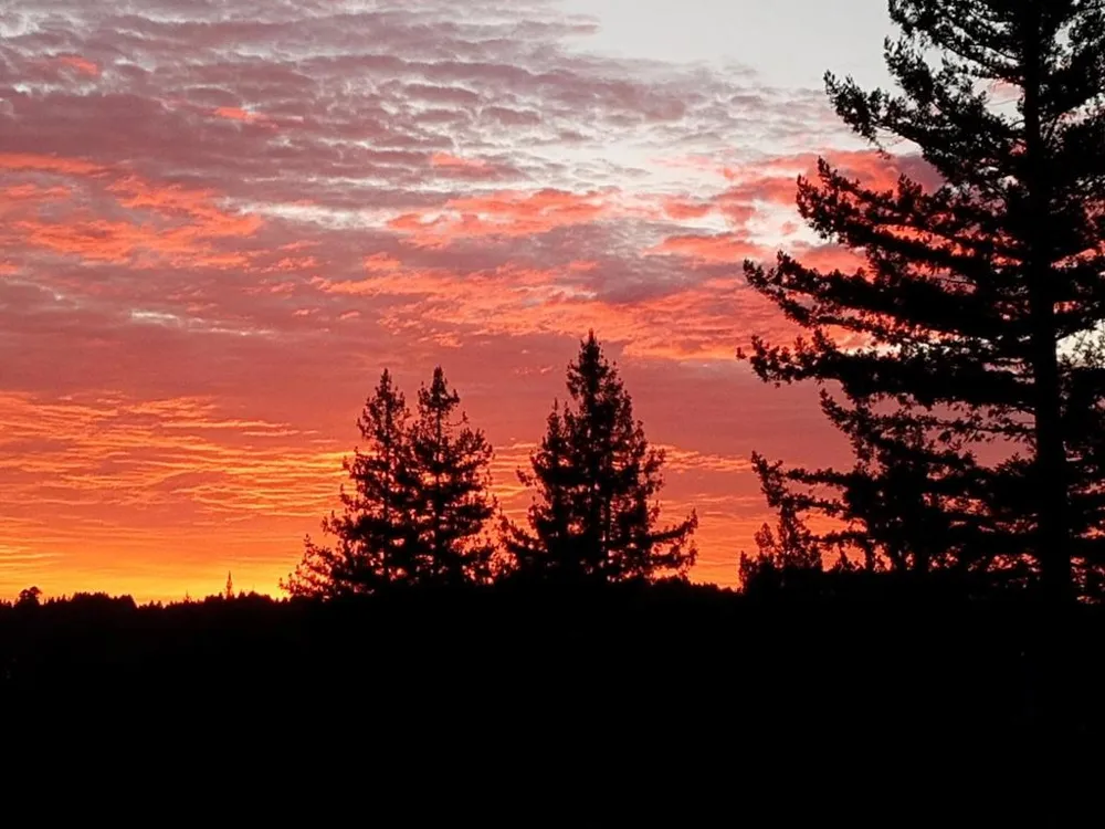 1580 Tindall Ranch Road Watsonville, CA 95076