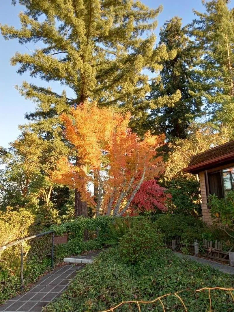 1580 Tindall Ranch Road Watsonville, CA 95076