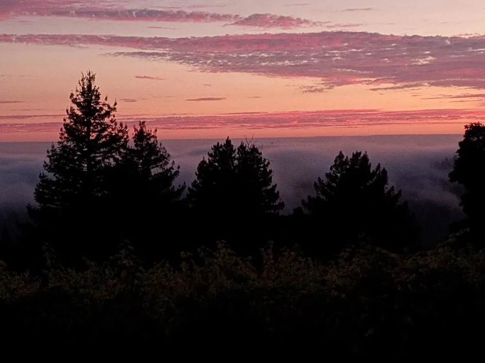 1580 Tindall Ranch Road Watsonville, CA 95076