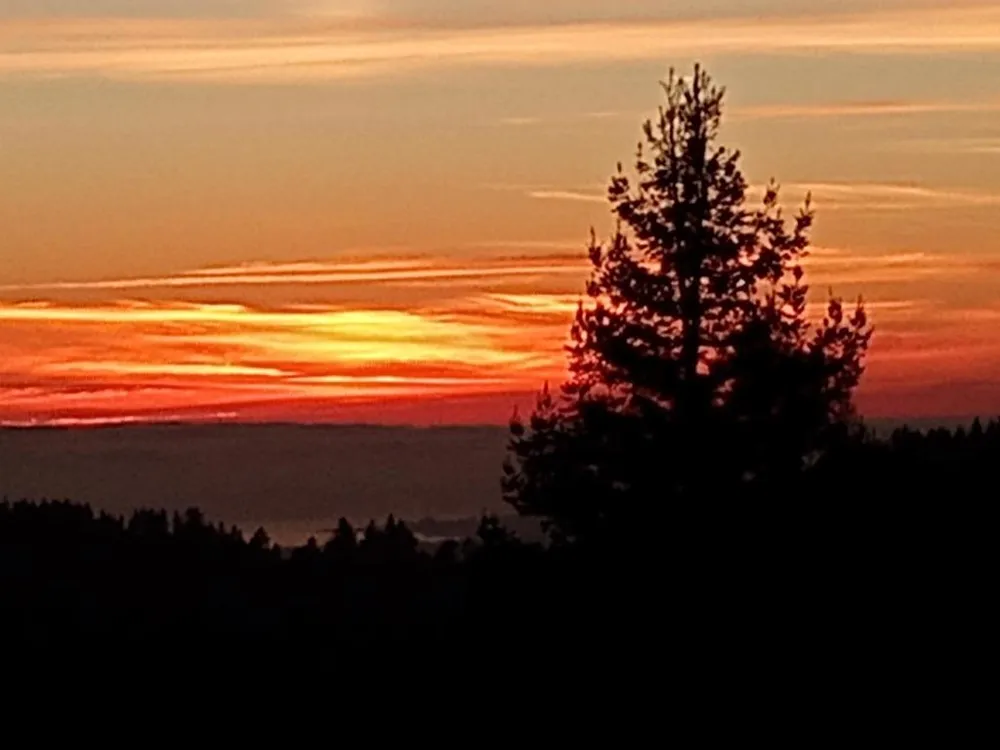 1580 Tindall Ranch Road Watsonville, CA 95076