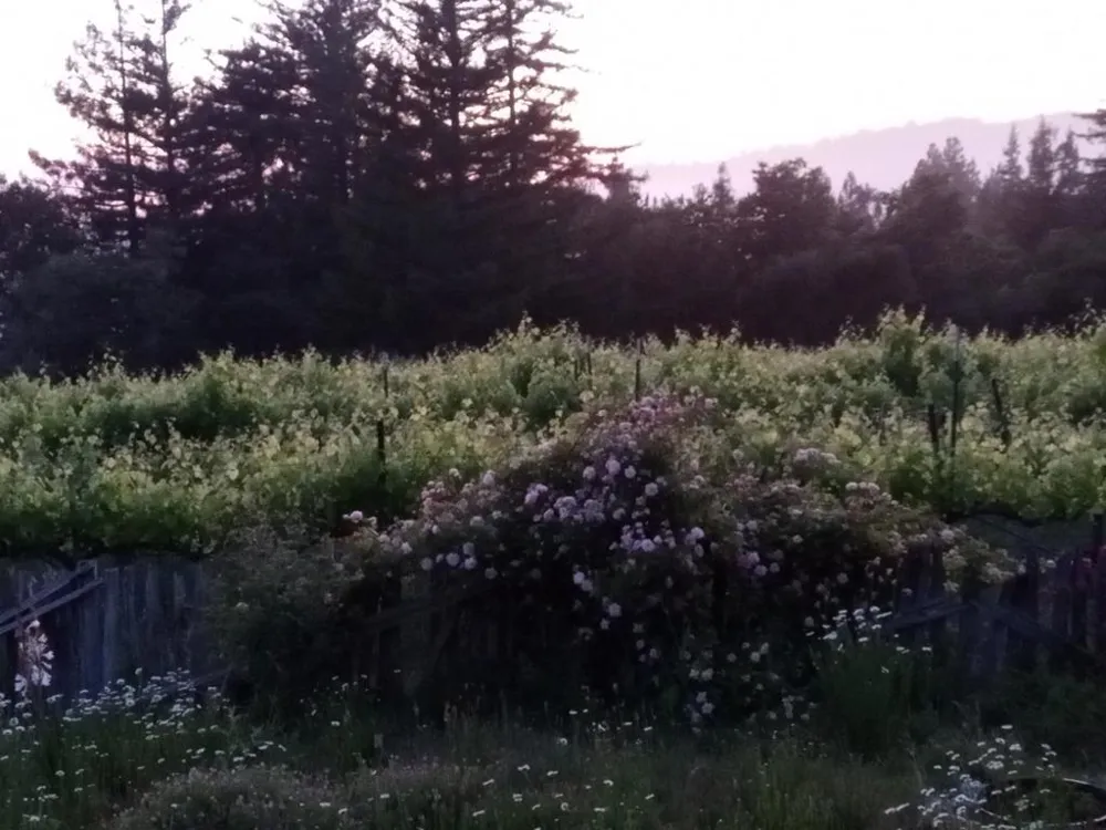 1580 Tindall Ranch Road Watsonville, CA 95076
