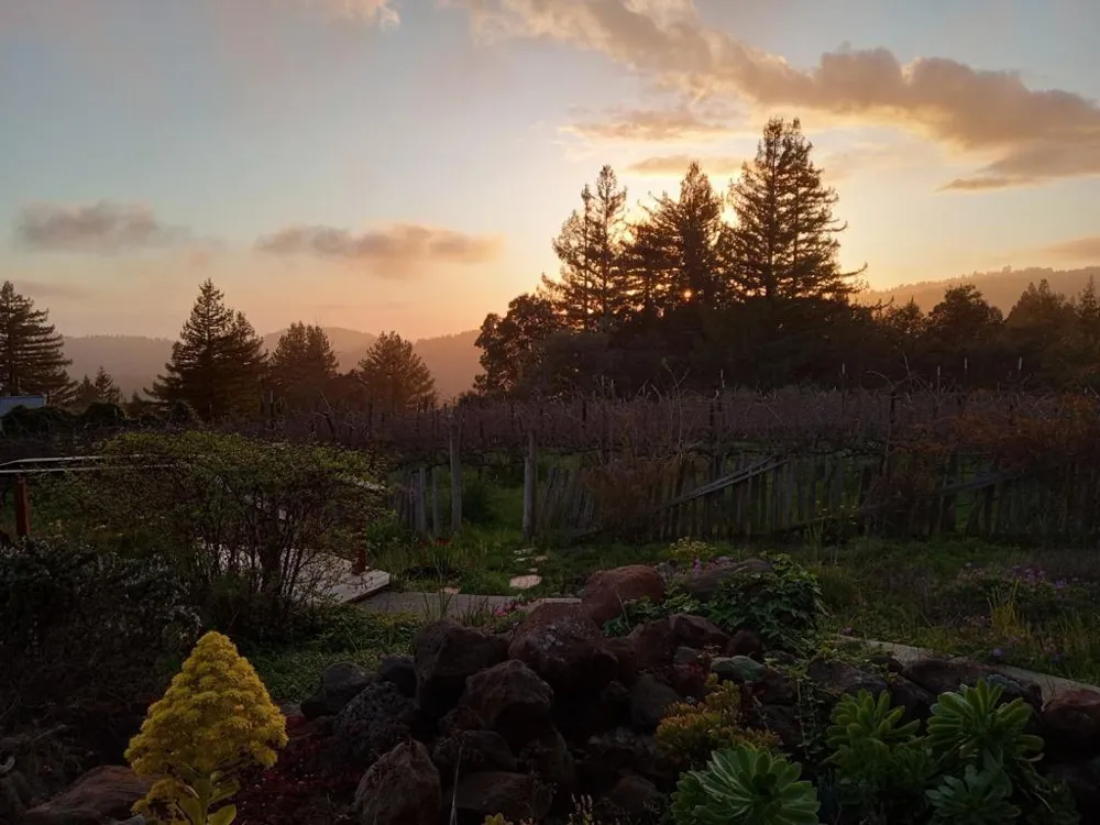 1580 Tindall Ranch Road Watsonville, CA 95076