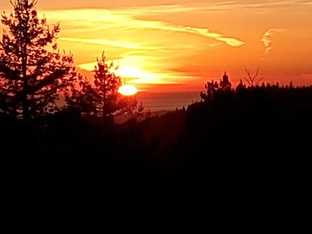1580 Tindall Ranch Road Watsonville, CA 95076