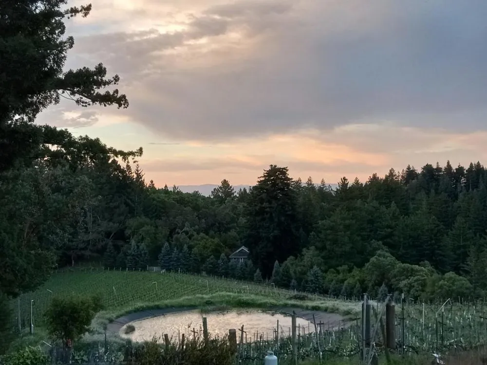 1580 Tindall Ranch Road Watsonville, CA 95076