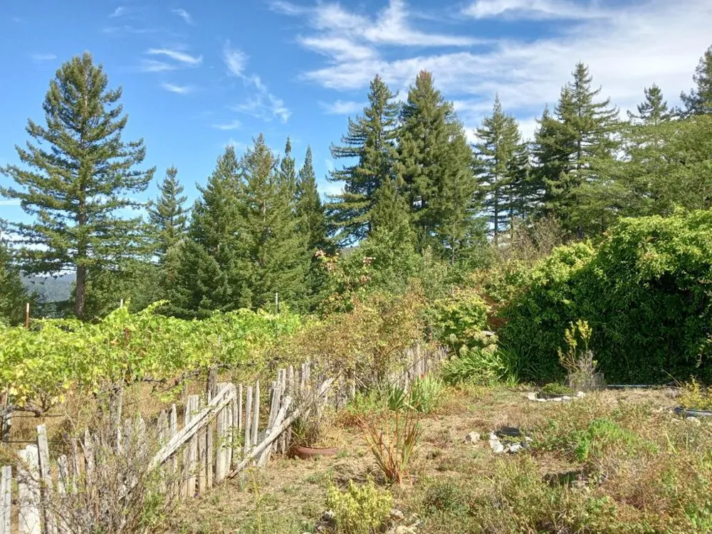 1580 Tindall Ranch Road Watsonville, CA 95076