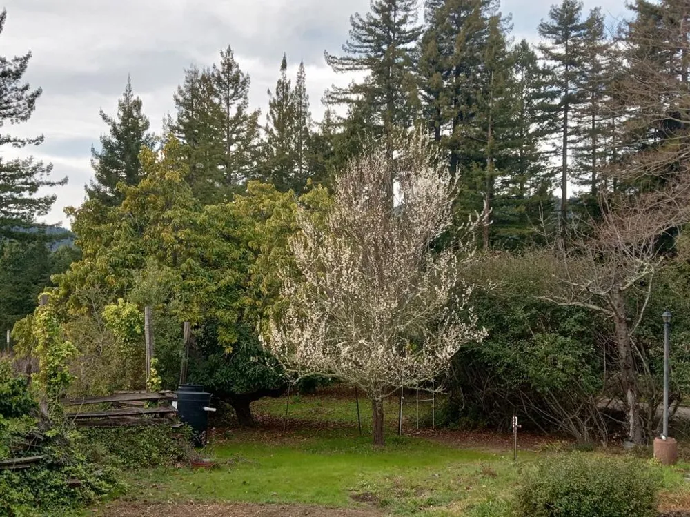 1580 Tindall Ranch Road Watsonville, CA 95076