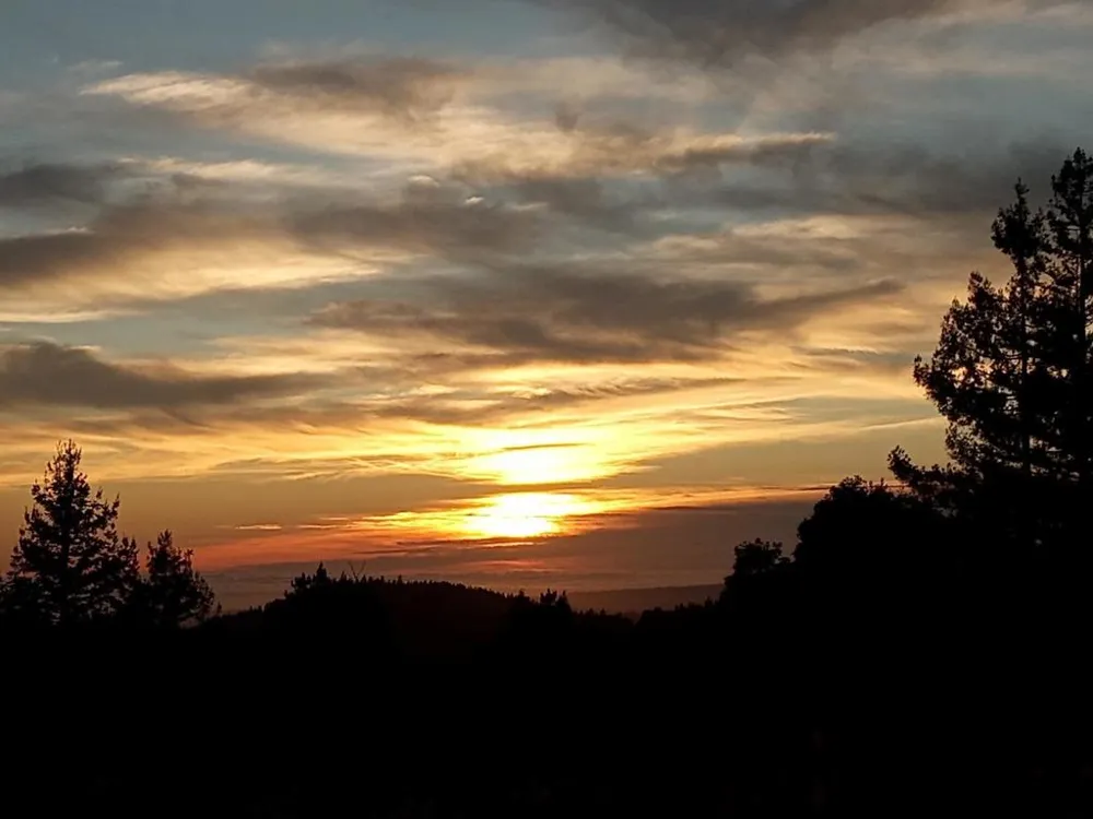1580 Tindall Ranch Road Watsonville, CA 95076