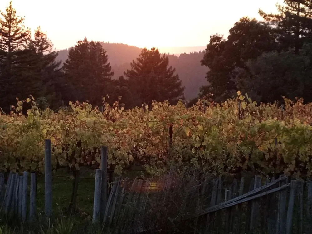 1580 Tindall Ranch Road Watsonville, CA 95076