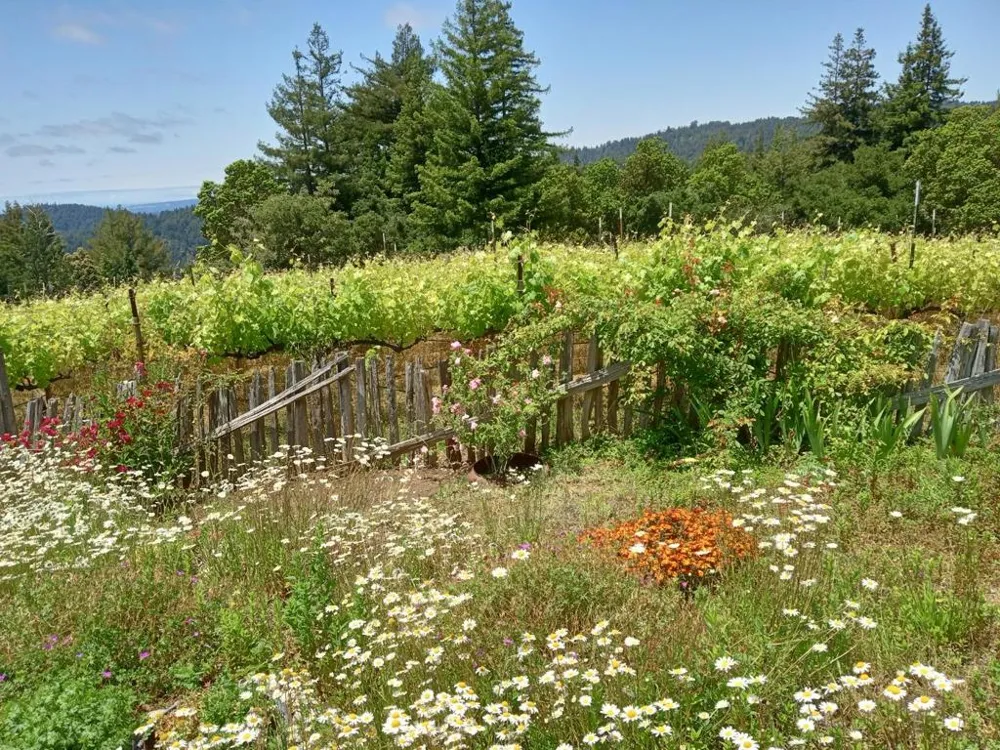1580 Tindall Ranch Road Watsonville, CA 95076