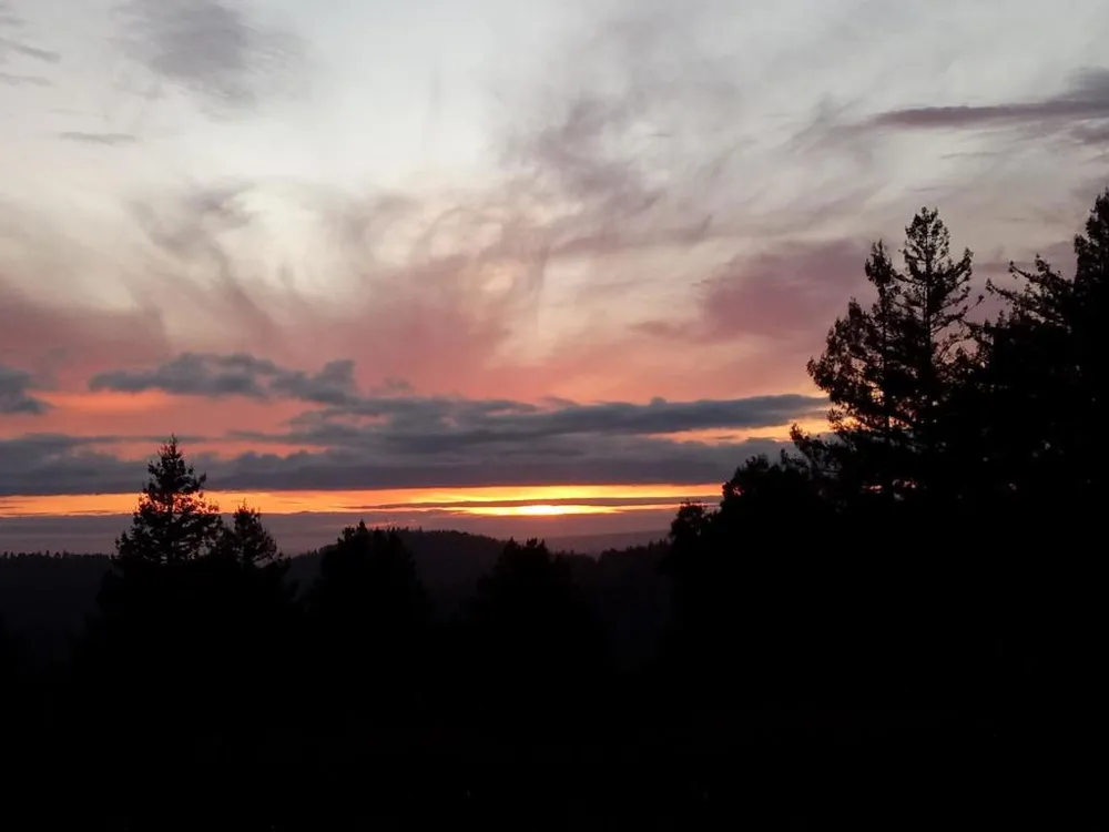 1580 Tindall Ranch Road Watsonville, CA 95076