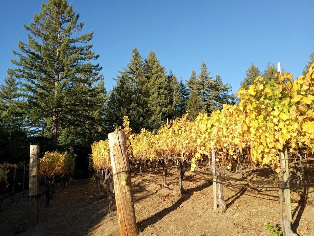 1580 Tindall Ranch Road Watsonville, CA 95076
