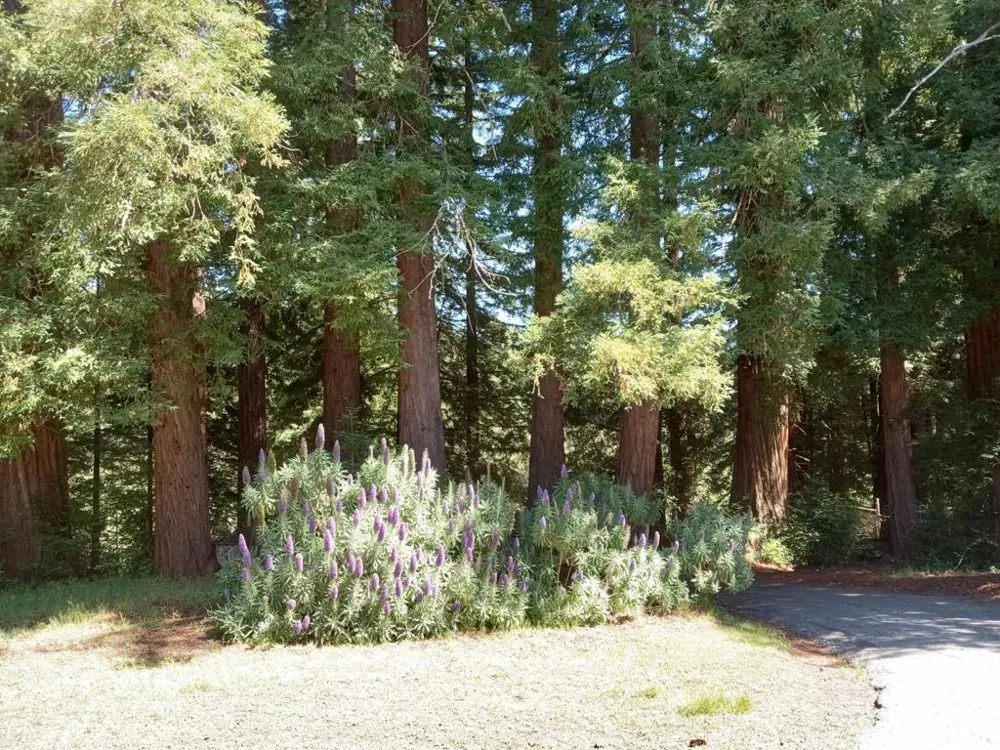1580 Tindall Ranch Road Watsonville, CA 95076