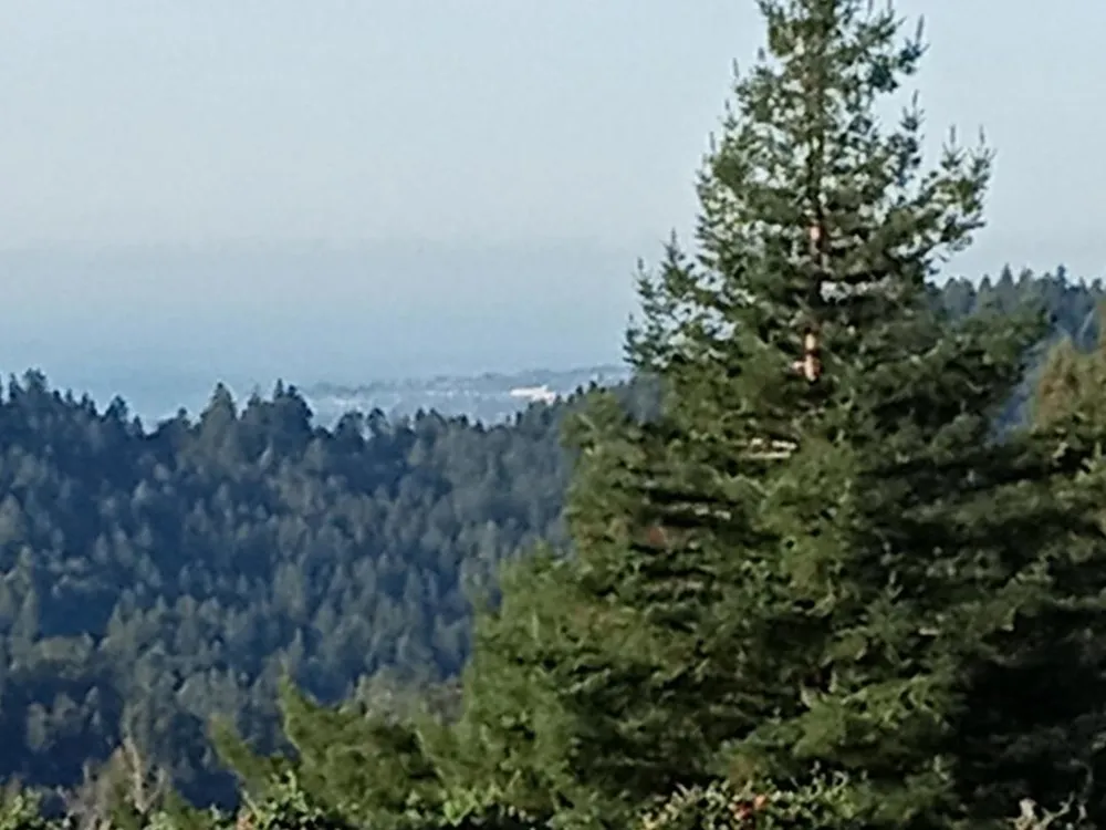 1580 Tindall Ranch Road Watsonville, CA 95076