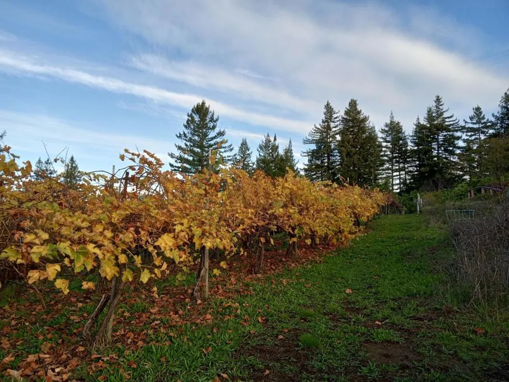 1580 Tindall Ranch Road Watsonville, CA 95076