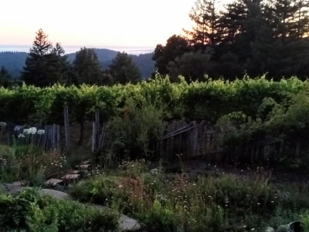 1580 Tindall Ranch Road Watsonville, CA 95076