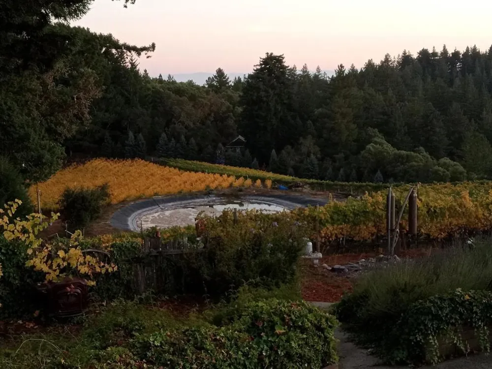 1580 Tindall Ranch Road Watsonville, CA 95076