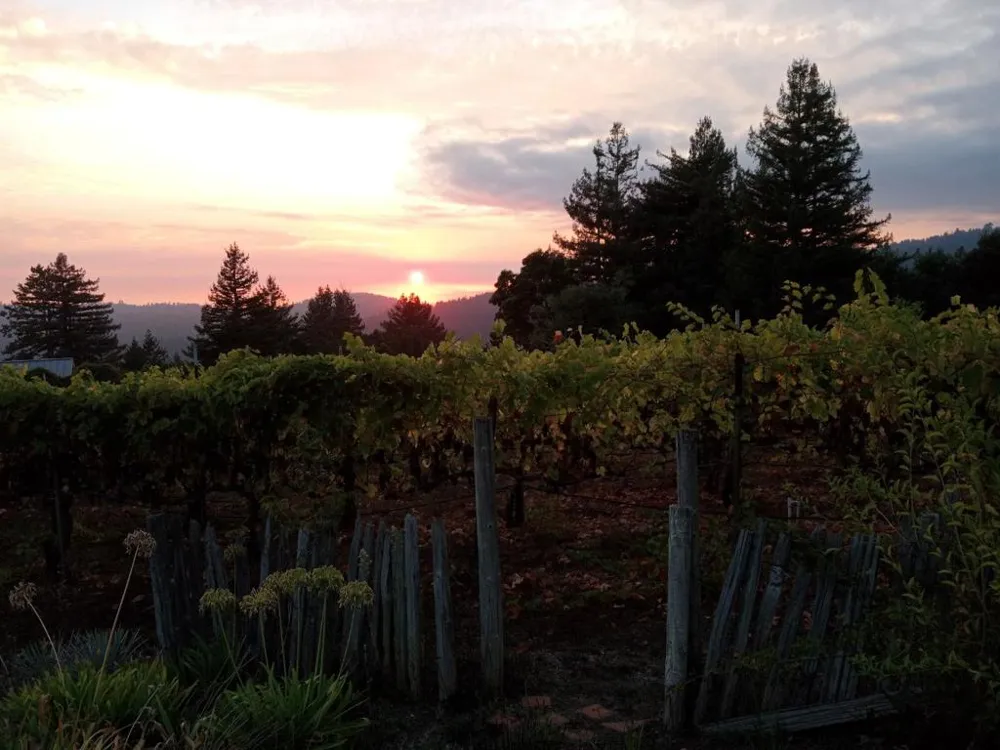 1580 Tindall Ranch Road Watsonville, CA 95076