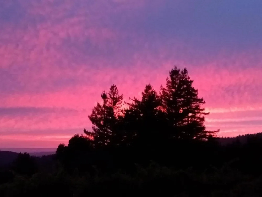 1580 Tindall Ranch Road Watsonville, CA 95076
