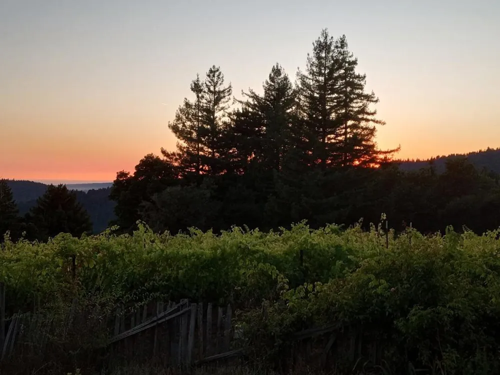 1580 Tindall Ranch Road Watsonville, CA 95076