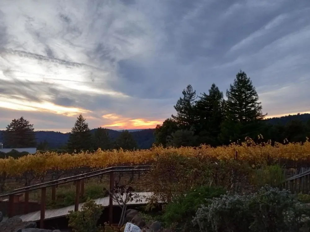 1580 Tindall Ranch Road Watsonville, CA 95076